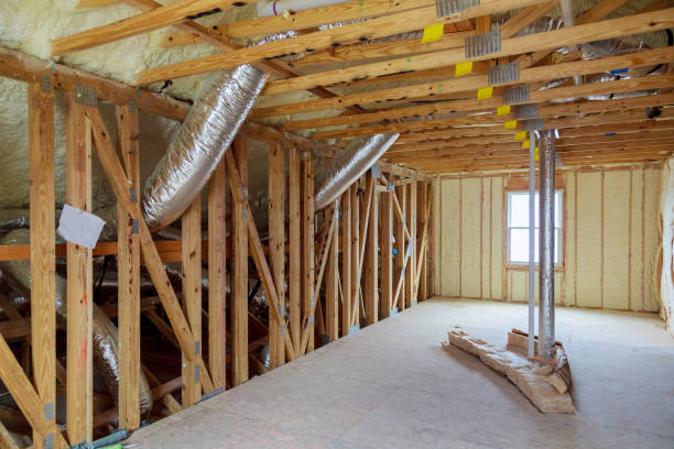 Professional Insulation Contractor in Lone Tree, IA