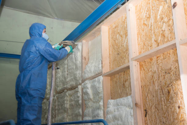Range of Insulation Solutions in Lone Tree, IA